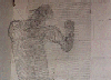 Sculpture 4 — woven wire mesh by Livia Rolandini