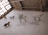 Sculpture 1 — woven wire mesh by Livia Rolandini